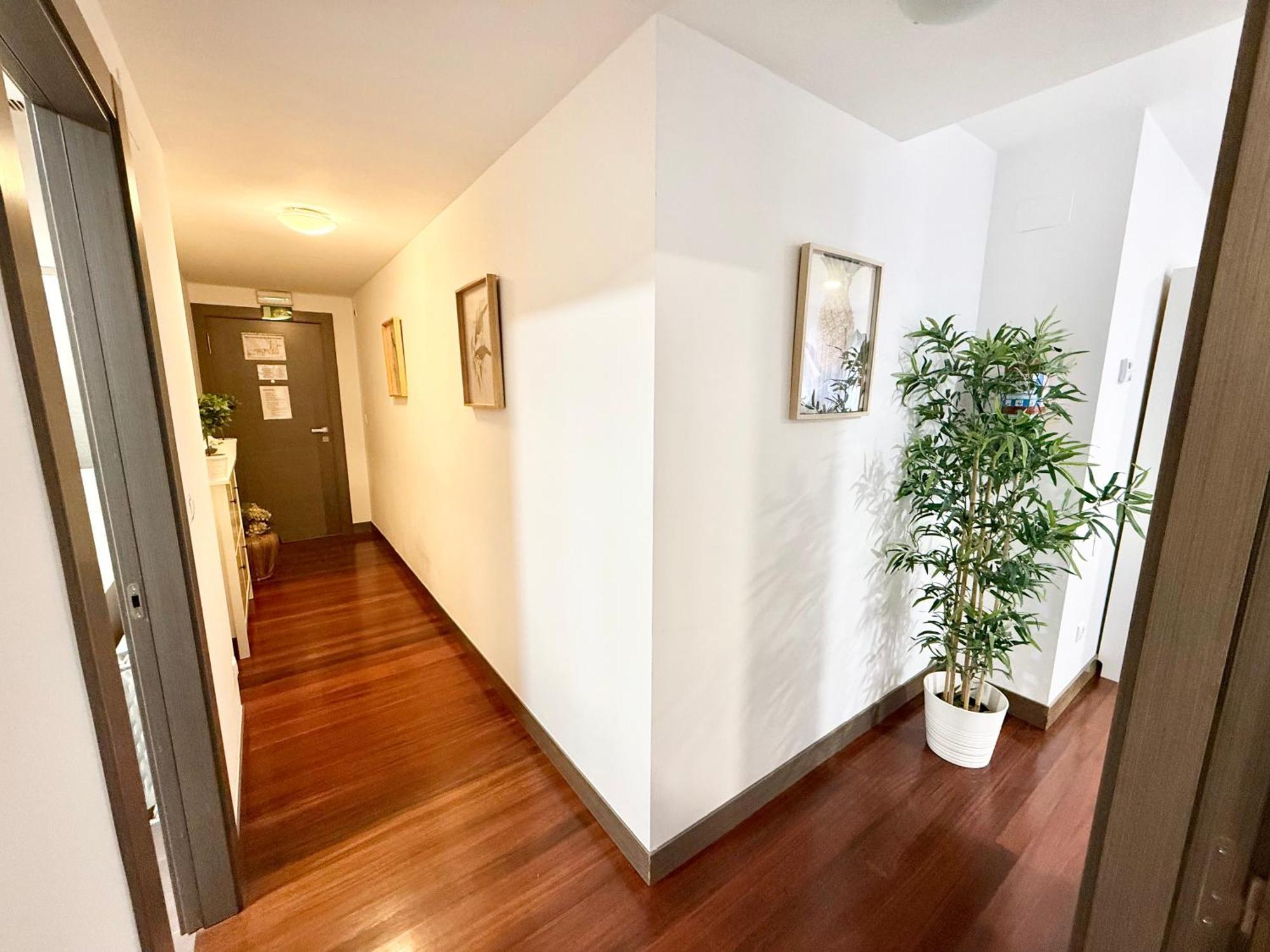 Castro Holidays - Centrico Piscina Urbanizacion Garaje Gratis Castro Urdiales Εξωτερικό φωτογραφία