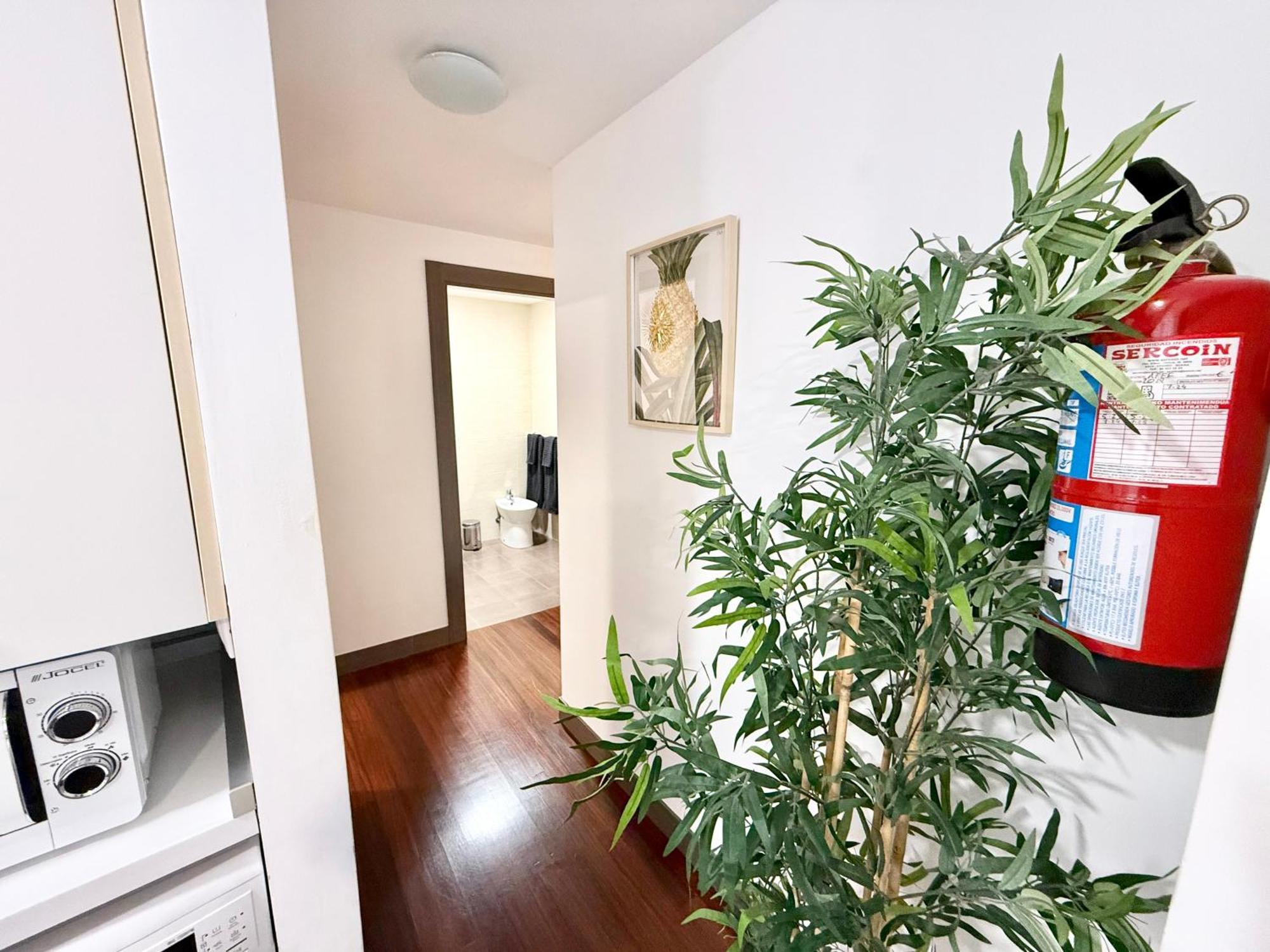 Castro Holidays - Centrico Piscina Urbanizacion Garaje Gratis Castro Urdiales Εξωτερικό φωτογραφία